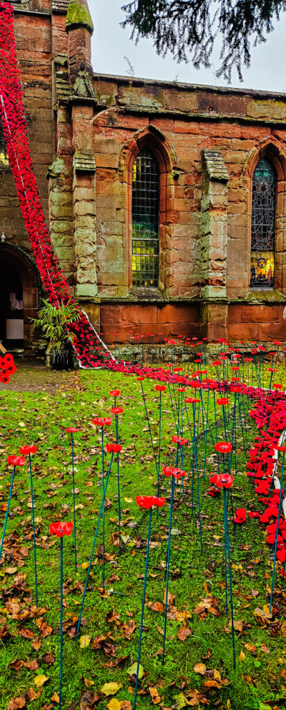 River of poppies outside church