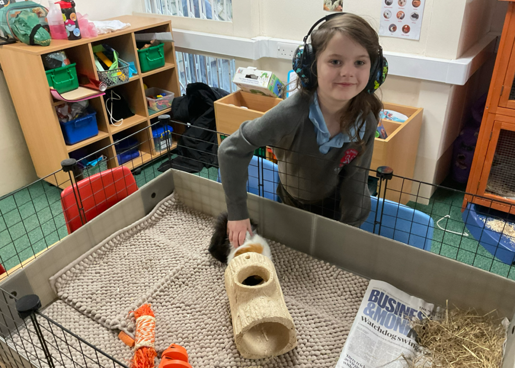Child petting guinea pig
