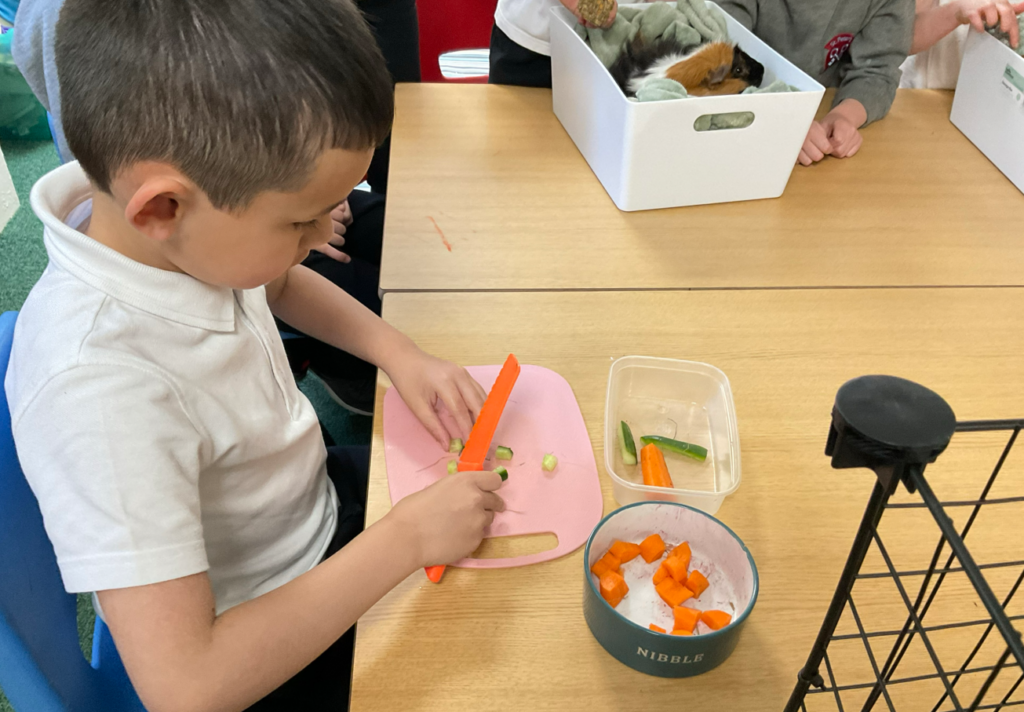 Child cutting food for pet