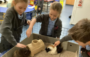 Children petting guinea pig