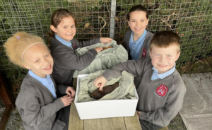 Children petting guinea pig