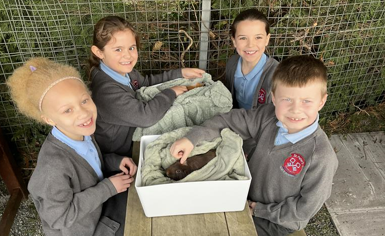 Children petting guinea pig