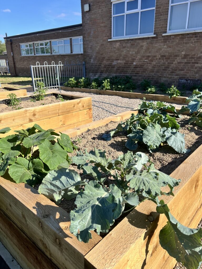 Fairfield Outdoor Space