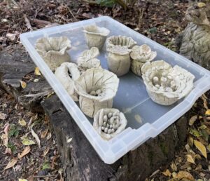 Chadsgrove School ceramics