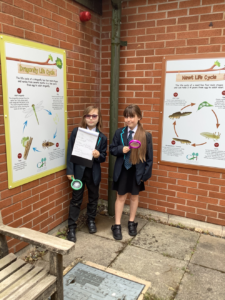 Pupils exploring the pong at Church Hill Middle School